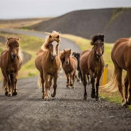 Vila Flugumyri 2 Varmahlid  Exteriér fotografie